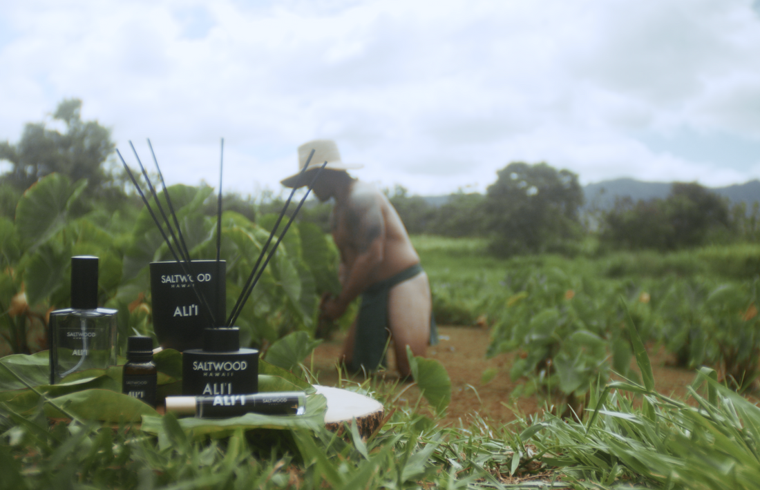 Rooted in Community: Joey Cadiz & Laulau Solutions
